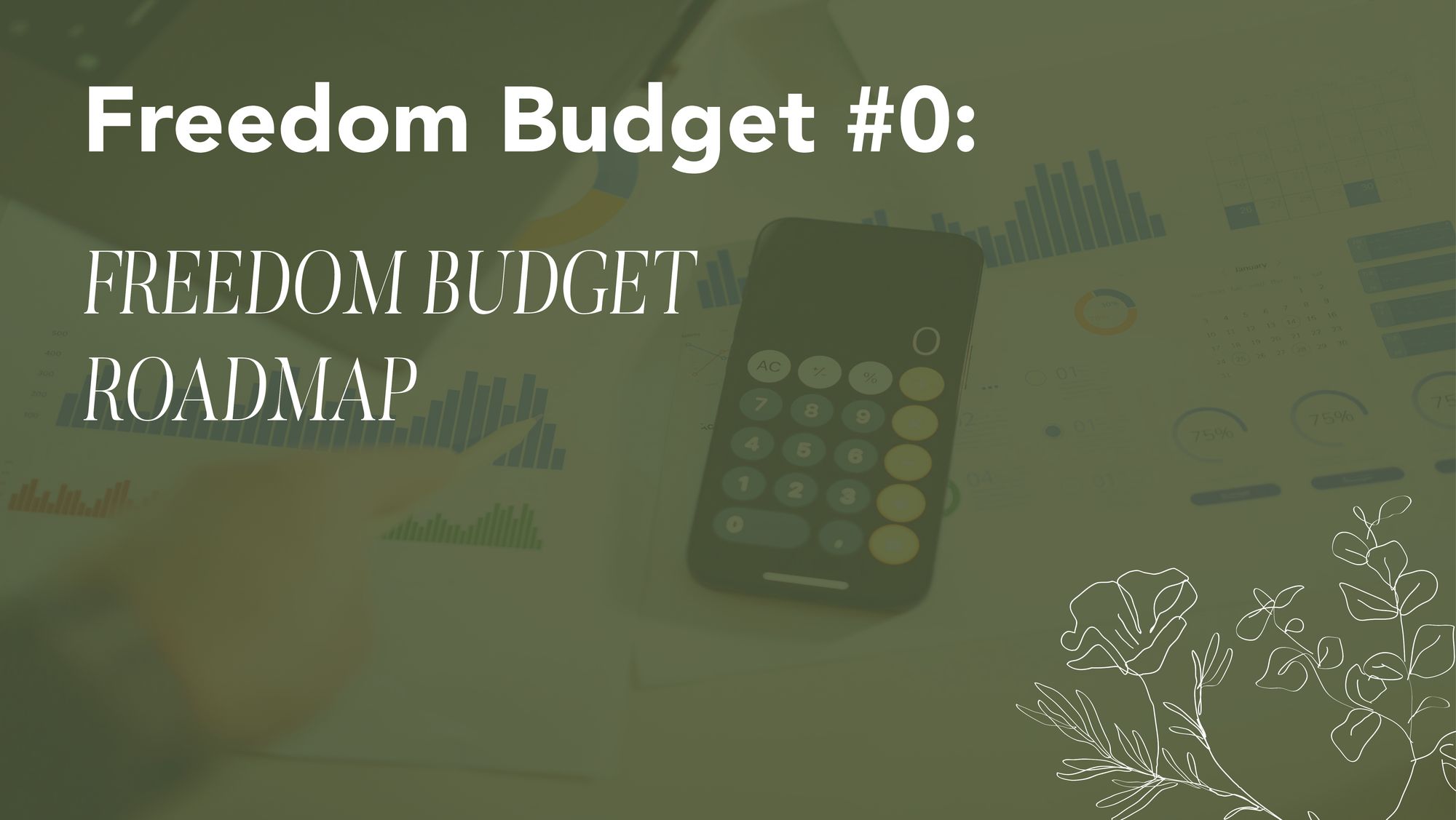 Freedom Budget Roadmap: My 7 Stages to Financial Clarity and Control
